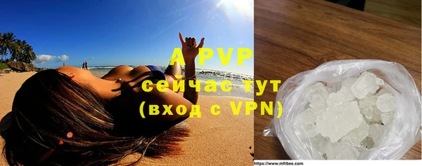 гидропоника Белокуриха