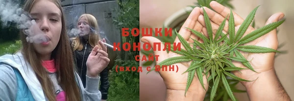 mdpv Богородск