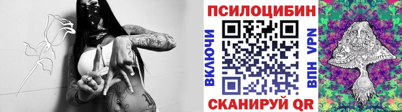 Галлюциногенные грибы Psilocybe Верхний Уфалей